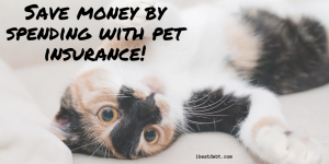 Pet insurance – saving money by spending money