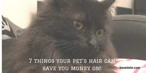 Pet hair use – 7 things your pet’s fur can save you money on!