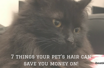 Copy of pets