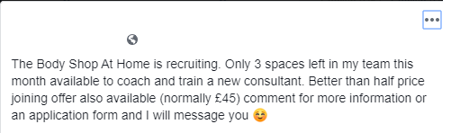 mlm meaning features on this ad trying to recruit